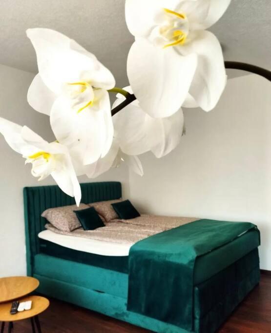 Zeid City Center Apartment Sarajevo Luaran gambar